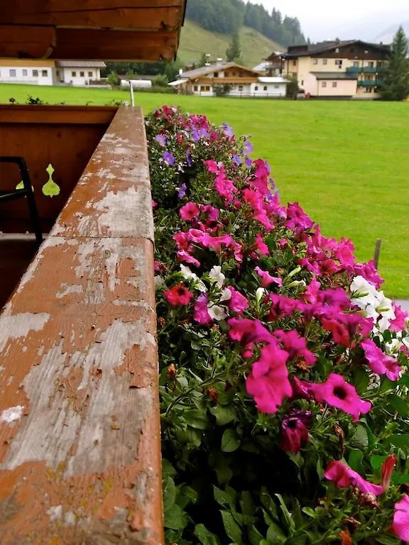 Ski & Bike Pension Maria Saalbach-Hinterglemm 0*,