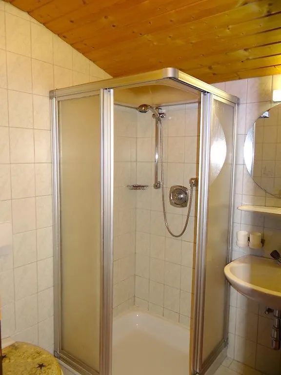 Ski & Bike Pension Maria Saalbach-Hinterglemm 0*,